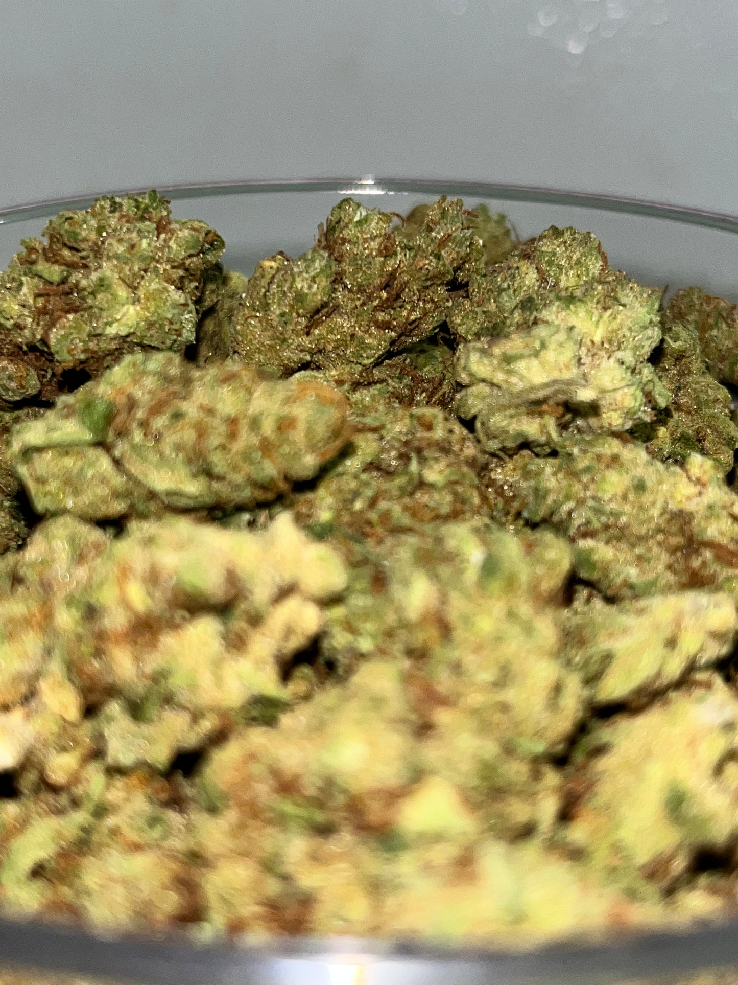 Gelato Punch THC-a